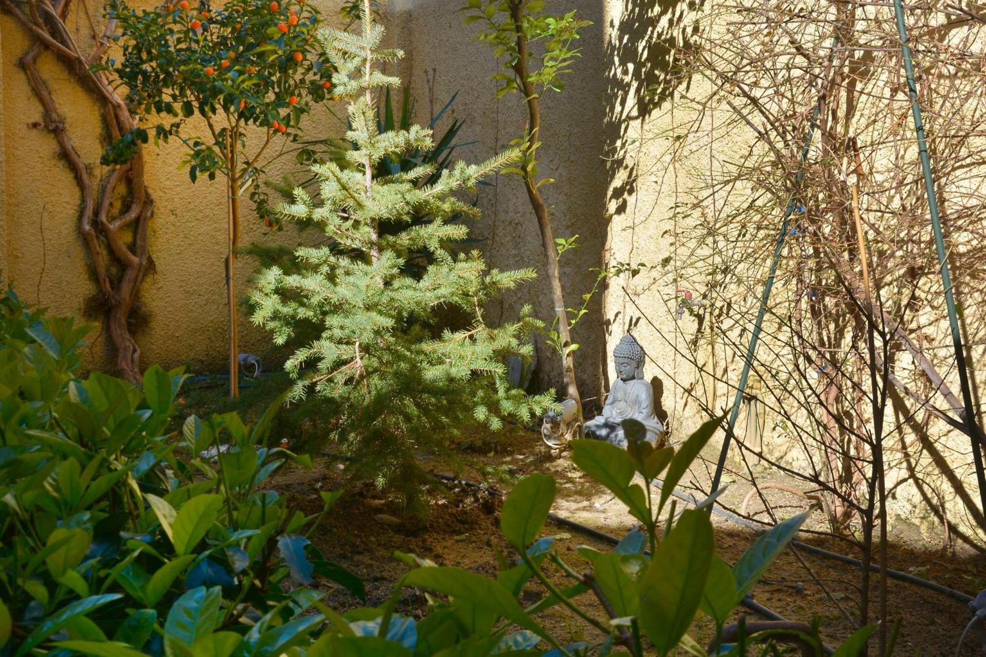 Appartamento Τhe Hidden Garden Corfu  Esterno foto