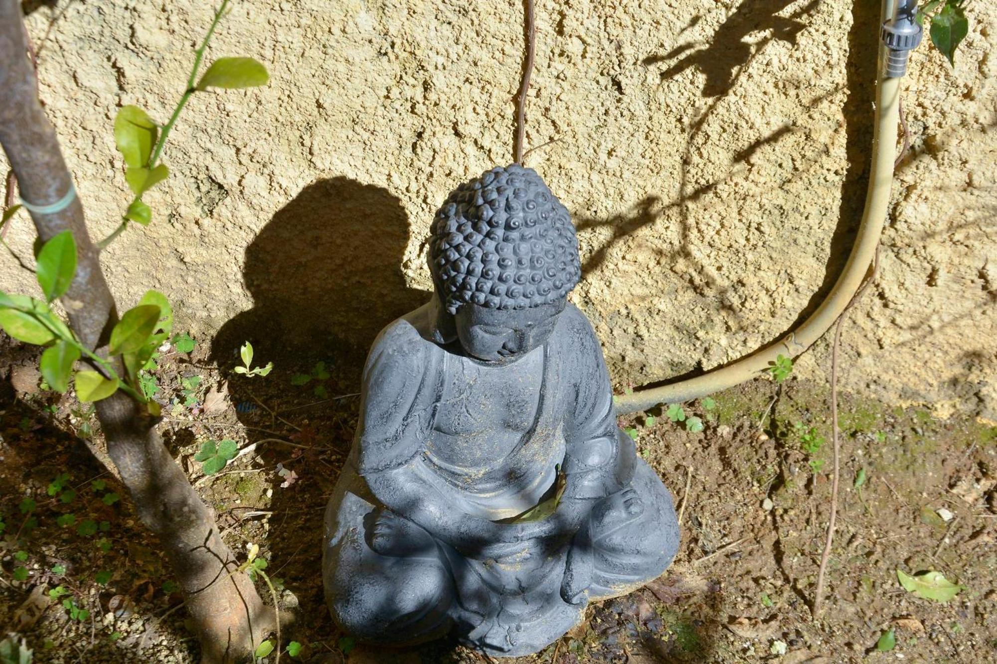 Appartamento Τhe Hidden Garden Corfu  Esterno foto