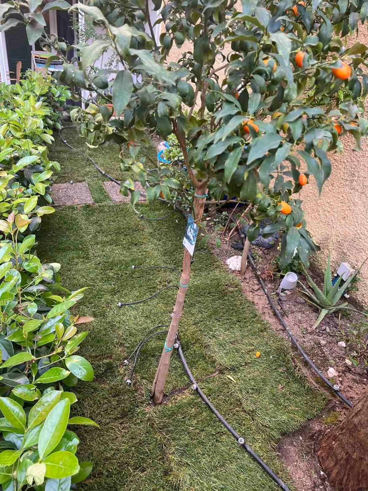 Appartamento Τhe Hidden Garden Corfu  Esterno foto