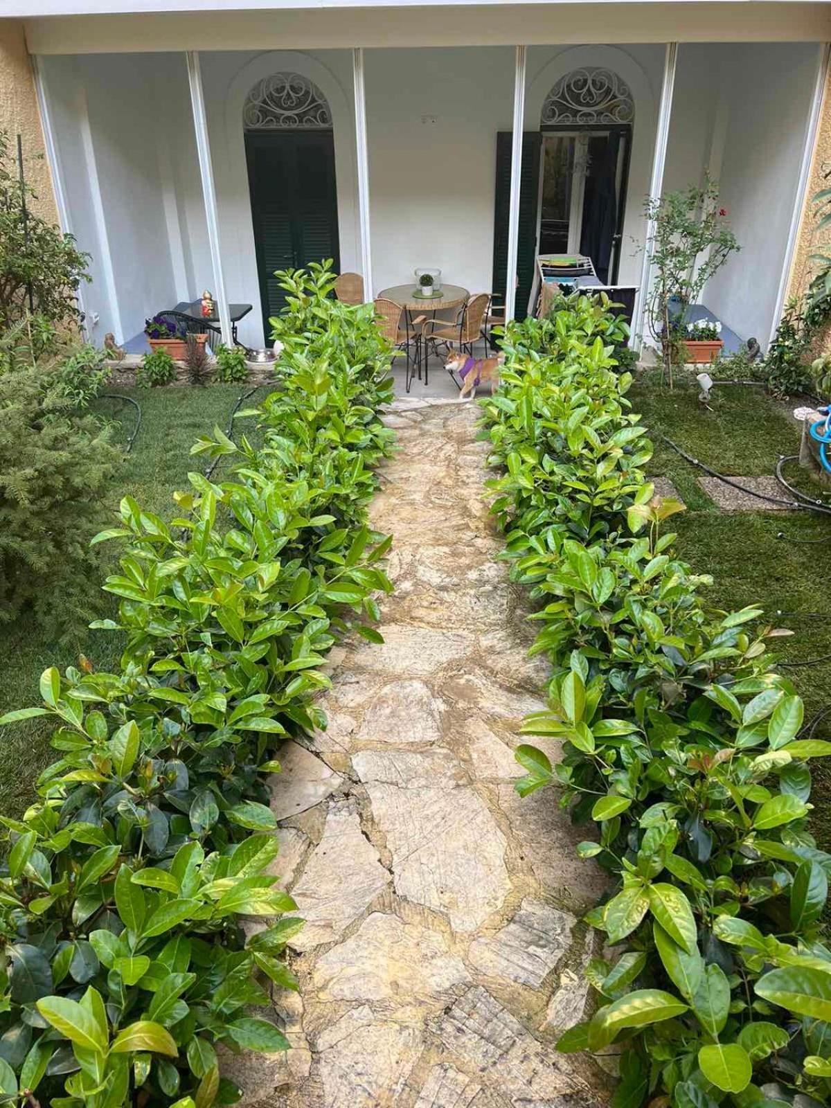 Appartamento Τhe Hidden Garden Corfu  Esterno foto
